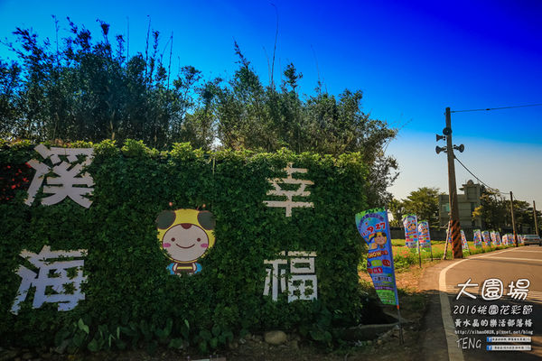 2016桃園花彩節|桃園市蘆竹區文青風暨大園區農村風花海盛事登場，怎麼拍怎麼美的超好拍場地。