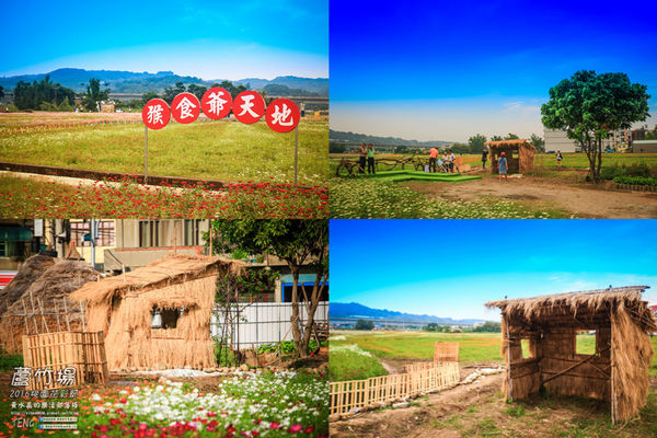 2016桃園花彩節|桃園市蘆竹區文青風暨大園區農村風花海盛事登場，怎麼拍怎麼美的超好拍場地。