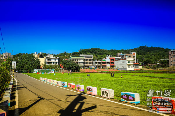 2016桃園花彩節|桃園市蘆竹區文青風暨大園區農村風花海盛事登場，怎麼拍怎麼美的超好拍場地。