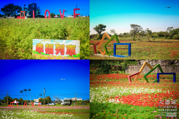 2016桃園花彩節|桃園市蘆竹區文青風暨大園區農村風花海盛事登場，怎麼拍怎麼美的超好拍場地。