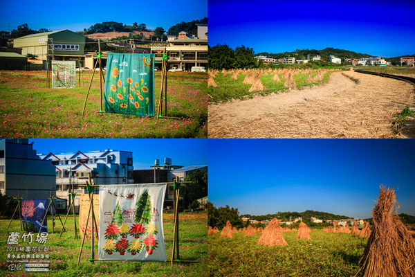 2016桃園花彩節|桃園市蘆竹區文青風暨大園區農村風花海盛事登場，怎麼拍怎麼美的超好拍場地。