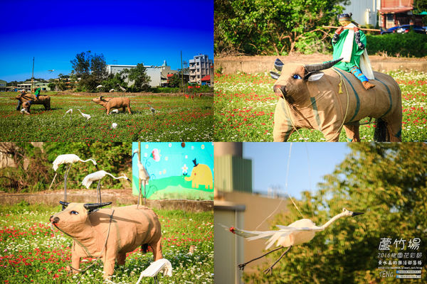 2016桃園花彩節|桃園市蘆竹區文青風暨大園區農村風花海盛事登場，怎麼拍怎麼美的超好拍場地。