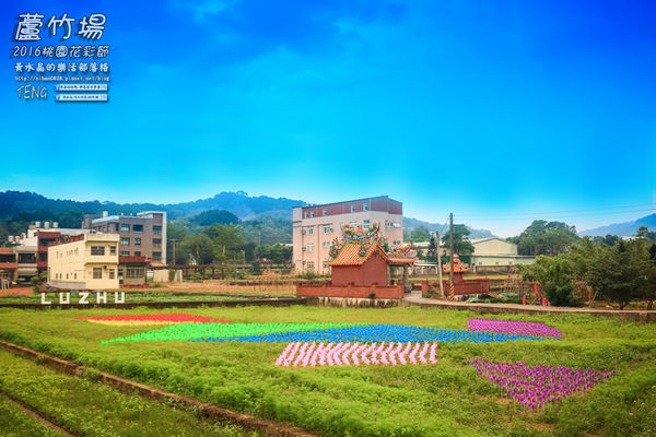 2016桃園花彩節|桃園市蘆竹區文青風暨大園區農村風花海盛事登場，怎麼拍怎麼美的超好拍場地。