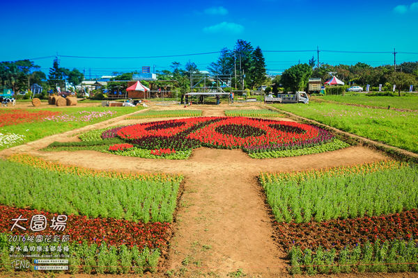 2016桃園花彩節|桃園市蘆竹區文青風暨大園區農村風花海盛事登場，怎麼拍怎麼美的超好拍場地。