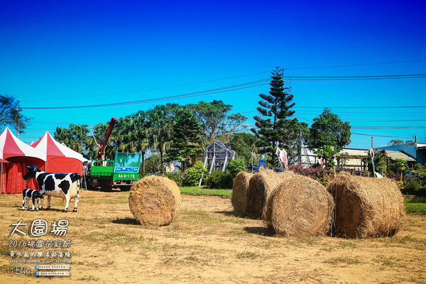 2016桃園花彩節|桃園市蘆竹區文青風暨大園區農村風花海盛事登場，怎麼拍怎麼美的超好拍場地。