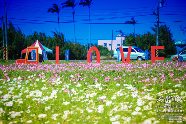 2016桃園花彩節|桃園市蘆竹區文青風暨大園區農村風花海盛事登場，怎麼拍怎麼美的超好拍場地。