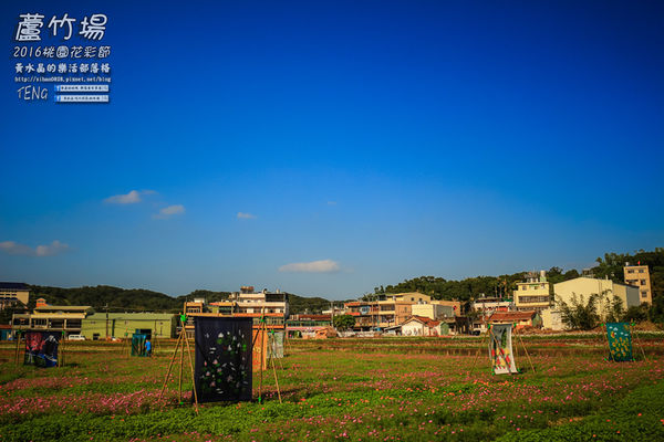 2016桃園花彩節|桃園市蘆竹區文青風暨大園區農村風花海盛事登場，怎麼拍怎麼美的超好拍場地。