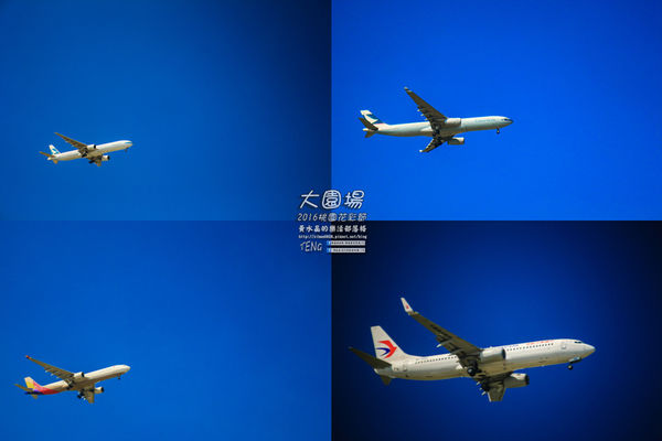 2016桃園花彩節|桃園市蘆竹區文青風暨大園區農村風花海盛事登場，怎麼拍怎麼美的超好拍場地。