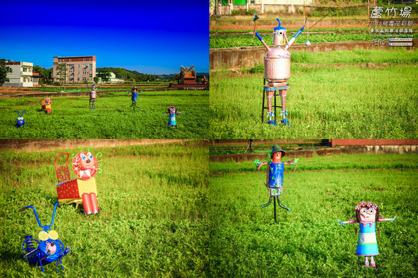 2016桃園花彩節|桃園市蘆竹區文青風暨大園區農村風花海盛事登場，怎麼拍怎麼美的超好拍場地。