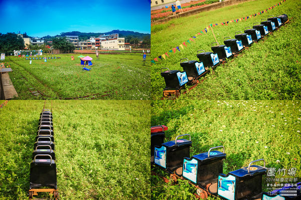 2016桃園花彩節|桃園市蘆竹區文青風暨大園區農村風花海盛事登場，怎麼拍怎麼美的超好拍場地。