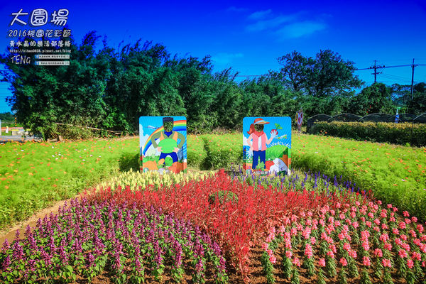 2016桃園花彩節|桃園市蘆竹區文青風暨大園區農村風花海盛事登場，怎麼拍怎麼美的超好拍場地。
