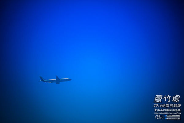 2016桃園花彩節|桃園市蘆竹區文青風暨大園區農村風花海盛事登場，怎麼拍怎麼美的超好拍場地。