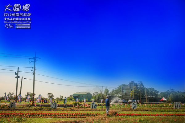 2016桃園花彩節|桃園市蘆竹區文青風暨大園區農村風花海盛事登場，怎麼拍怎麼美的超好拍場地。