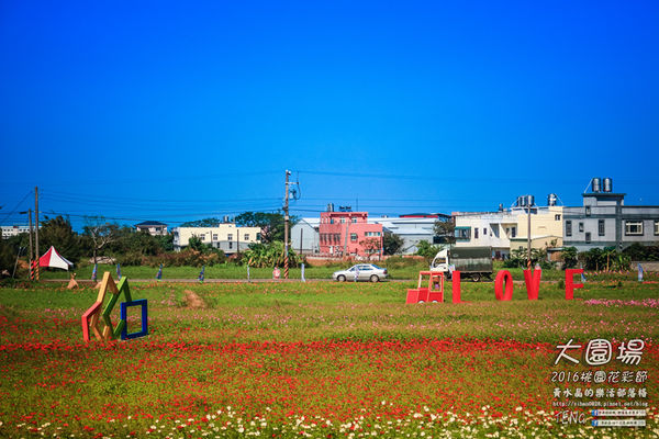 2016桃園花彩節|桃園市蘆竹區文青風暨大園區農村風花海盛事登場，怎麼拍怎麼美的超好拍場地。