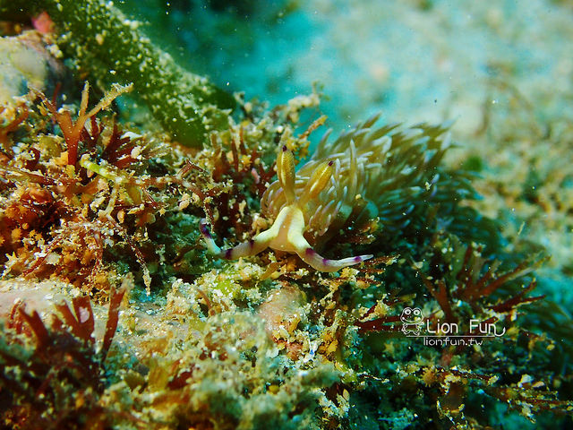 P3180012 (2) P3180012 (2)