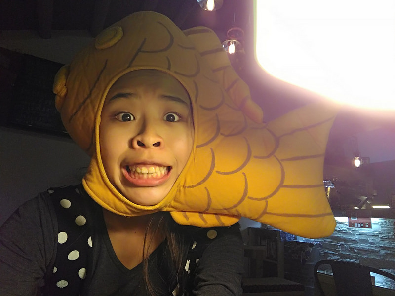 P_20170111_155346_BF