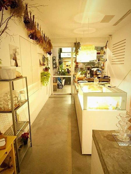 17795956_1457224164309268_5309244018946556051_n