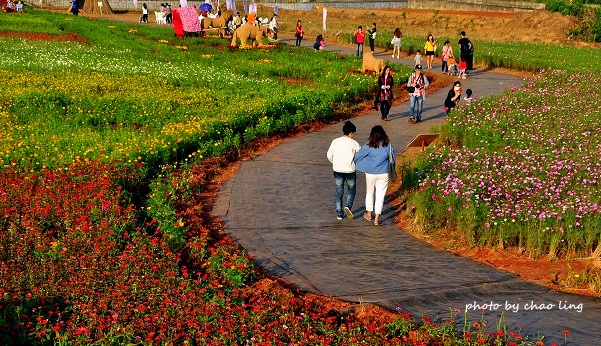 2016桃園花彩節(中壢)-38.JPG - 2016秋之豔 2016桃園花彩節(中壢)-38.JPG - 2016秋之豔