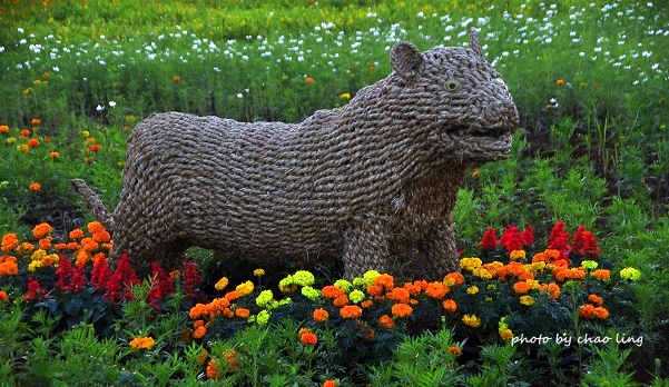 2016桃園花彩節(中壢)-14.JPG - 2016秋之豔 2016桃園花彩節(中壢)-14.JPG - 2016秋之豔