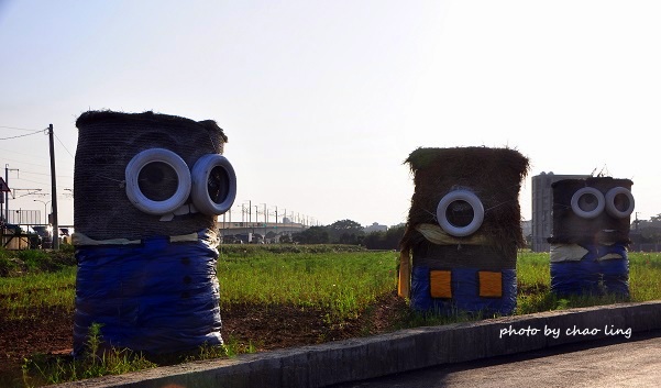 2016桃園花彩節(中壢)-4.JPG - 2016秋之豔 2016桃園花彩節(中壢)-4.JPG - 2016秋之豔