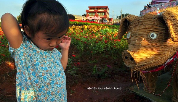 2016桃園花彩節(中壢)-12.JPG - 2016秋之豔 2016桃園花彩節(中壢)-12.JPG - 2016秋之豔