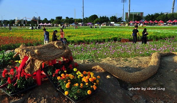 2016桃園花彩節(中壢)-11.JPG - 2016秋之豔 2016桃園花彩節(中壢)-11.JPG - 2016秋之豔