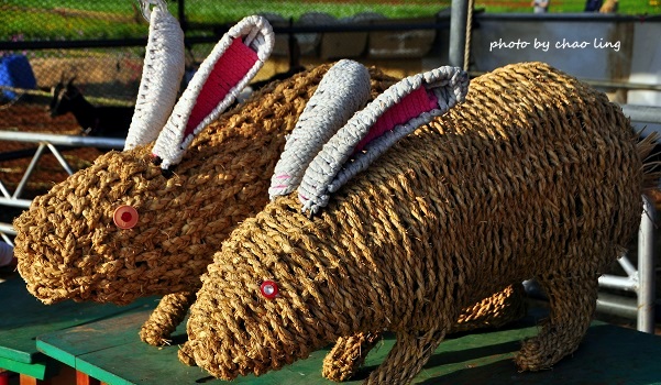 2016桃園花彩節(中壢)-10.JPG - 2016秋之豔 2016桃園花彩節(中壢)-10.JPG - 2016秋之豔