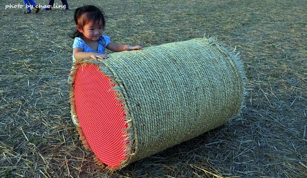 2016桃園花彩節(中壢)-46.JPG - 2016秋之豔 2016桃園花彩節(中壢)-46.JPG - 2016秋之豔