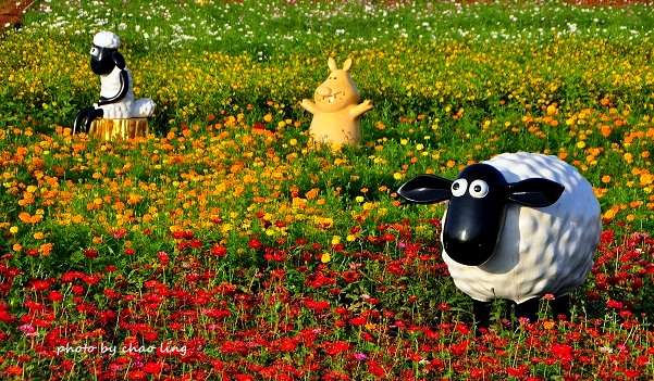 2016桃園花彩節(中壢)-25.JPG - 2016秋之豔 2016桃園花彩節(中壢)-25.JPG - 2016秋之豔