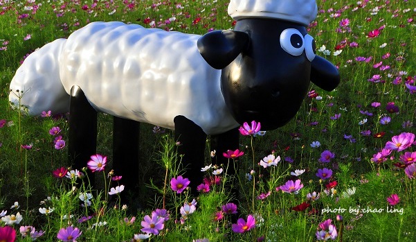 2016桃園花彩節(中壢)-32.JPG - 2016秋之豔 2016桃園花彩節(中壢)-32.JPG - 2016秋之豔