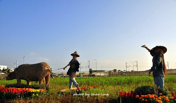 2016桃園花彩節(中壢)-5.JPG - 2016秋之豔 2016桃園花彩節(中壢)-5.JPG - 2016秋之豔