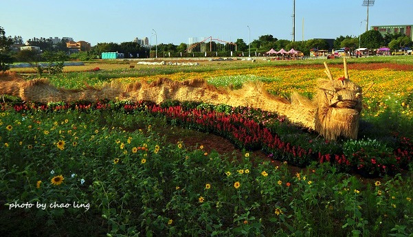2016桃園花彩節(中壢)-37.JPG - 2016秋之豔 2016桃園花彩節(中壢)-37.JPG - 2016秋之豔