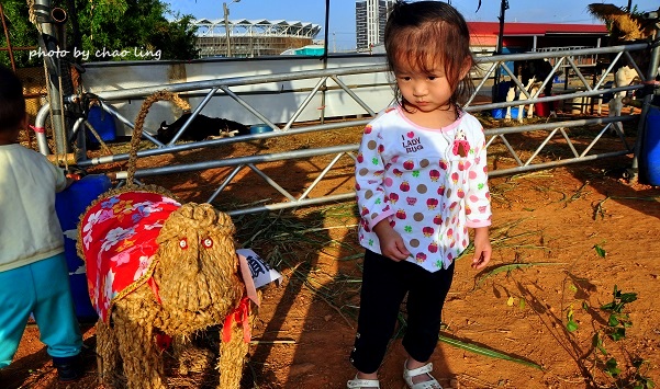 2016桃園花彩節(中壢)-15.JPG - 2016秋之豔 2016桃園花彩節(中壢)-15.JPG - 2016秋之豔