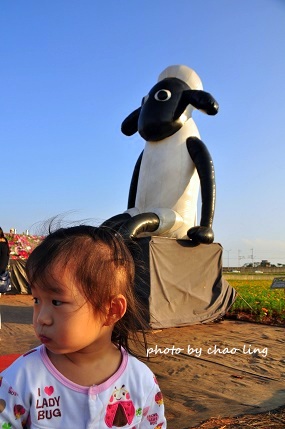 2016桃園花彩節(中壢)-21.JPG - 2016秋之豔 2016桃園花彩節(中壢)-21.JPG - 2016秋之豔