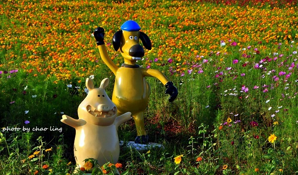 2016桃園花彩節(中壢)-26.JPG - 2016秋之豔 2016桃園花彩節(中壢)-26.JPG - 2016秋之豔