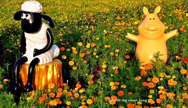 2016桃園花彩節(中壢)-27.JPG - 2016秋之豔 2016桃園花彩節(中壢)-27.JPG - 2016秋之豔