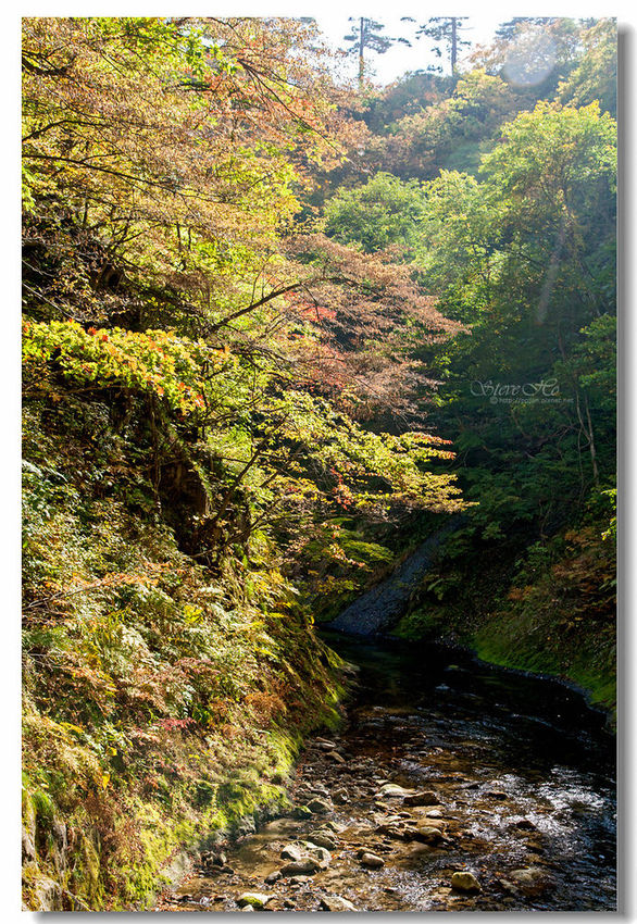 IMG_7942.jpg IMG_7942.jpg