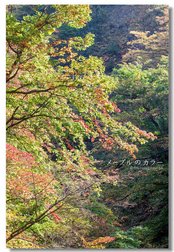 IMG_9854.jpg IMG_9854.jpg