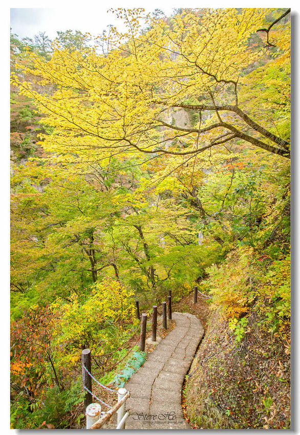 IMG_7863.jpg IMG_7863.jpg