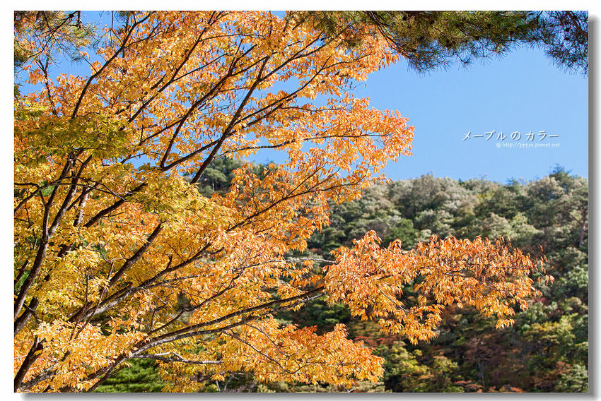 IMG_9827.jpg IMG_9827.jpg