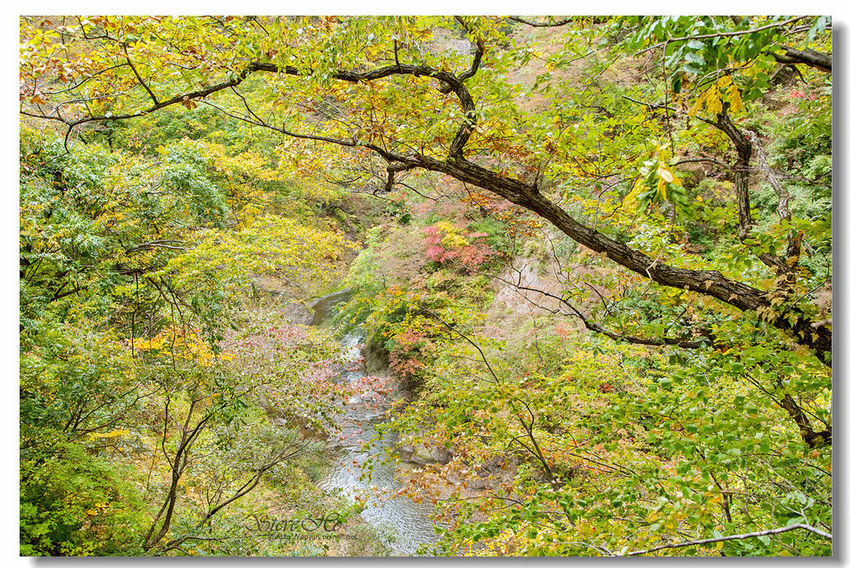 IMG_7876.jpg IMG_7876.jpg