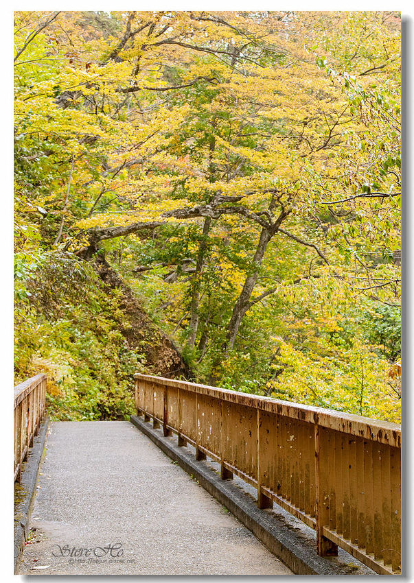 IMG_7871.jpg IMG_7871.jpg