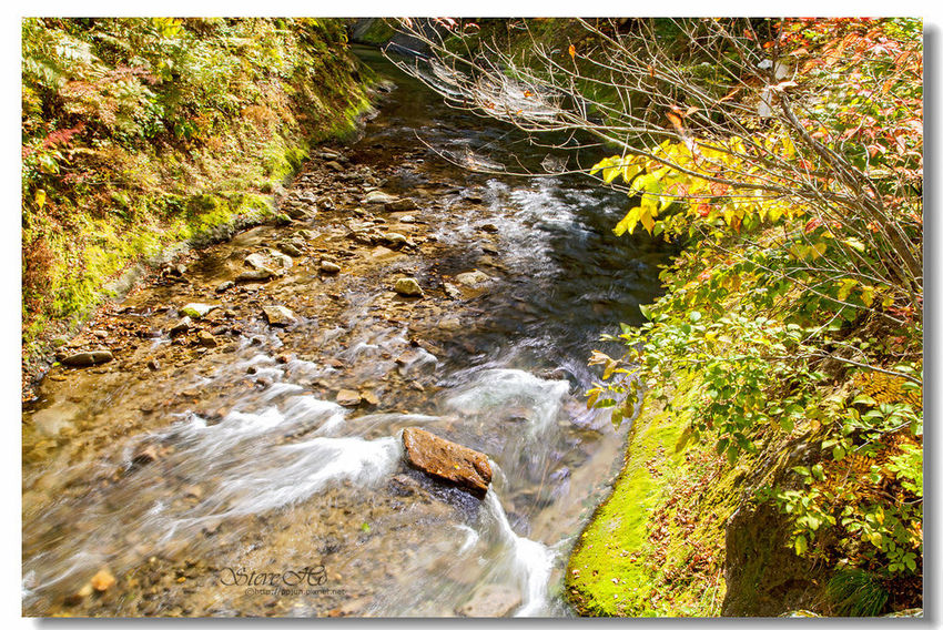 IMG_7927.jpg IMG_7927.jpg