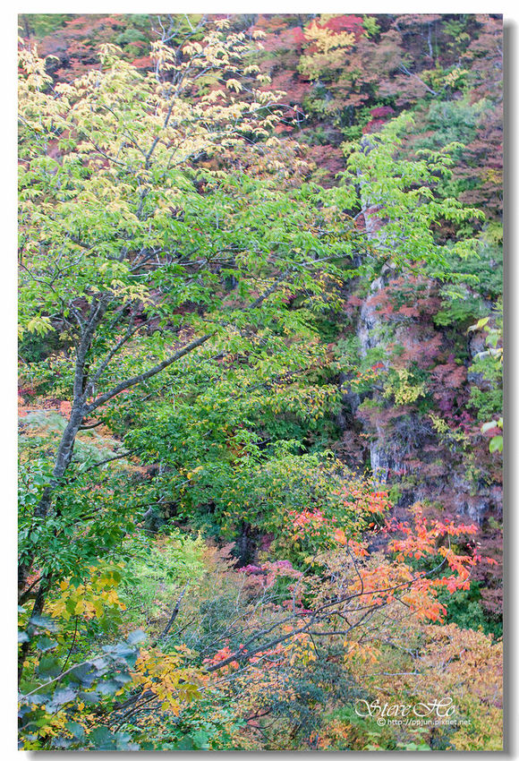 IMG_9888.jpg IMG_9888.jpg