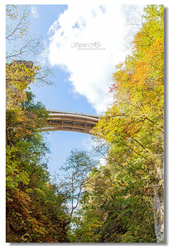 IMG_7951.jpg IMG_7951.jpg