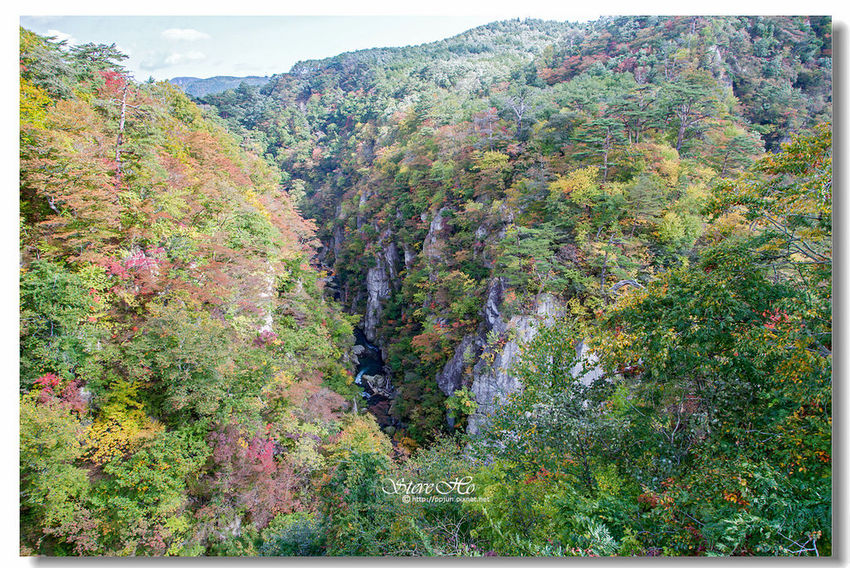 IMG_7801.jpg IMG_7801.jpg