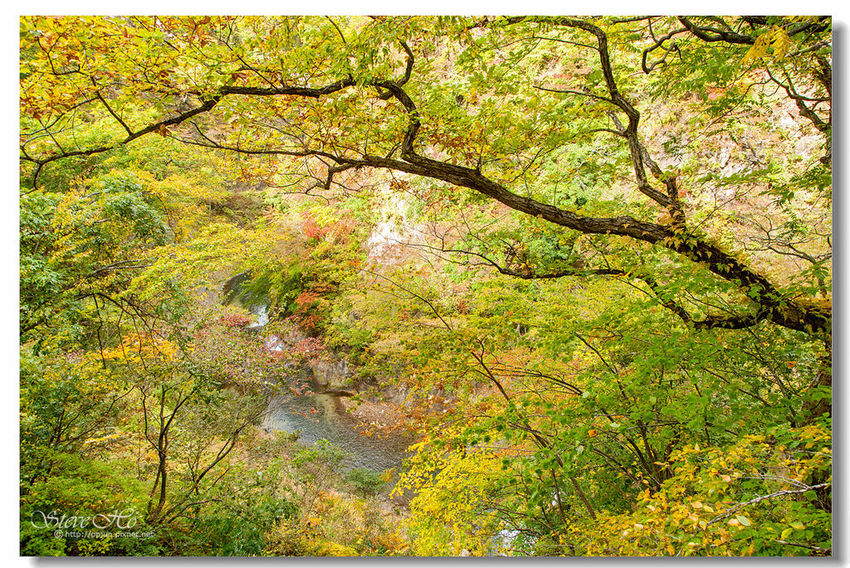 IMG_7878.jpg IMG_7878.jpg