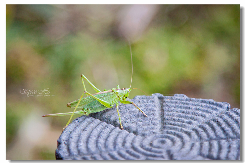 IMG_9904.jpg IMG_9904.jpg