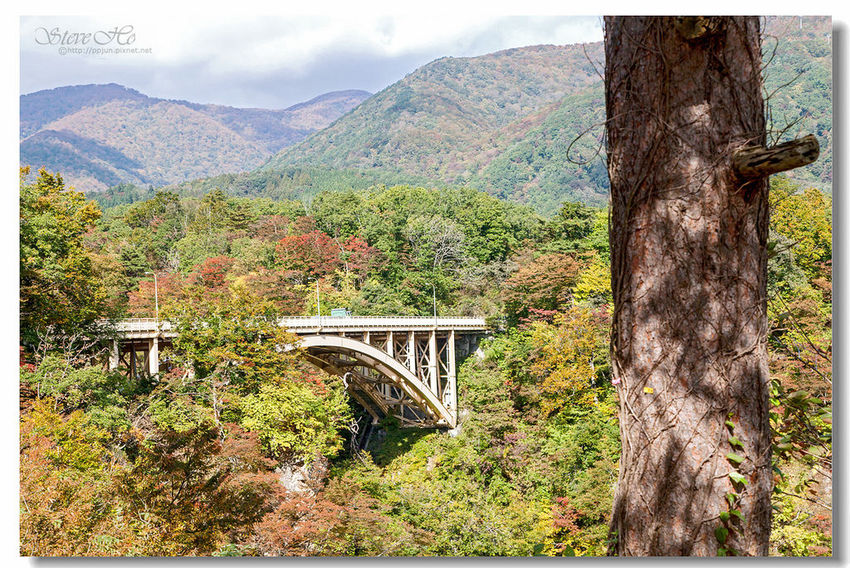 IMG_7764.jpg IMG_7764.jpg