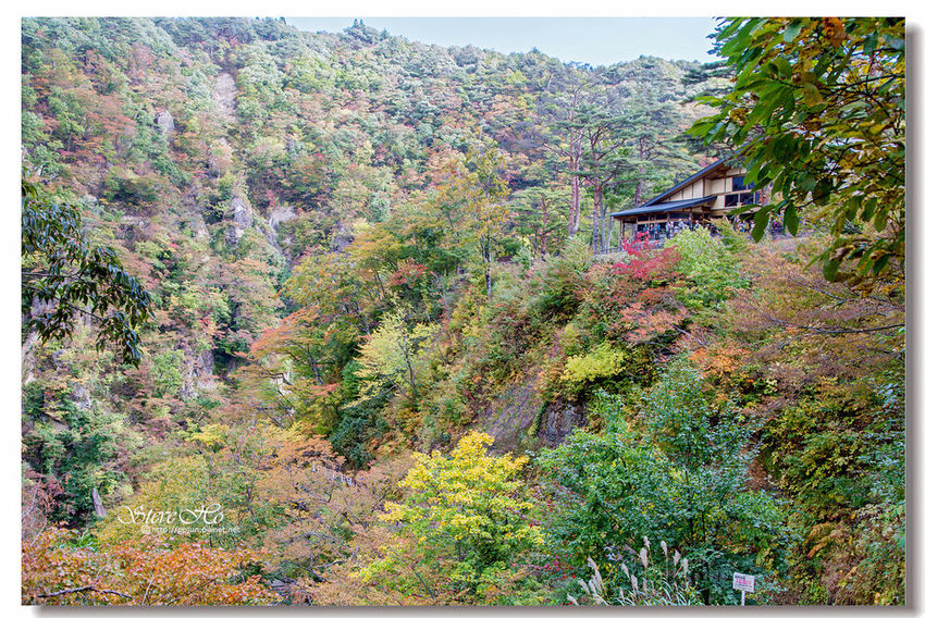 IMG_7807.jpg IMG_7807.jpg